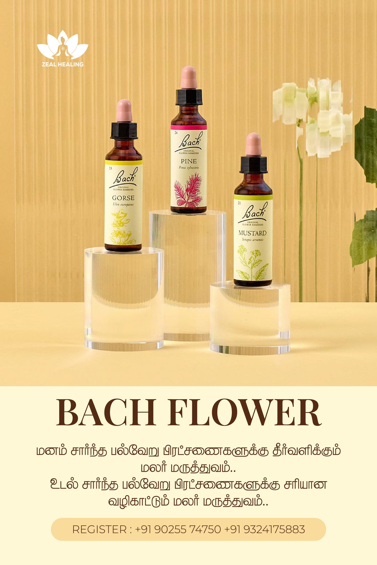 Bottles of Bach flower remedies with natural floral elements, used for emotional healing and balance.